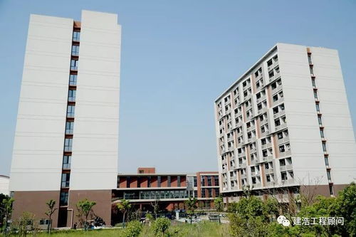 走進松江大學城 探秘上海重大工程建設下的最美校園新篇章